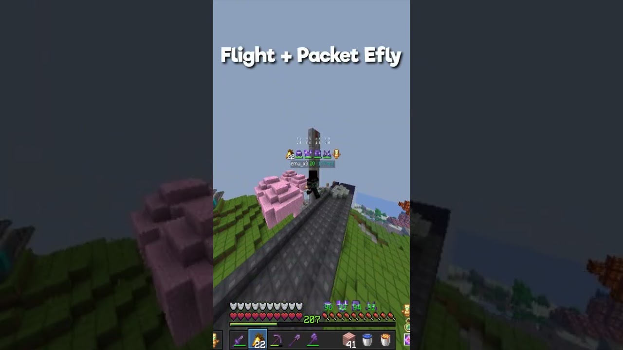 Best Meteor client configs #minecraft #5b5t #configs
