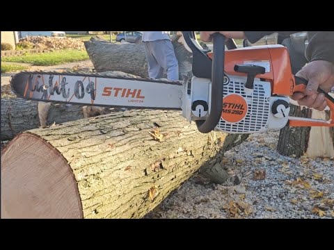 BEST Mid Range Saw By Far - Stihl MS250