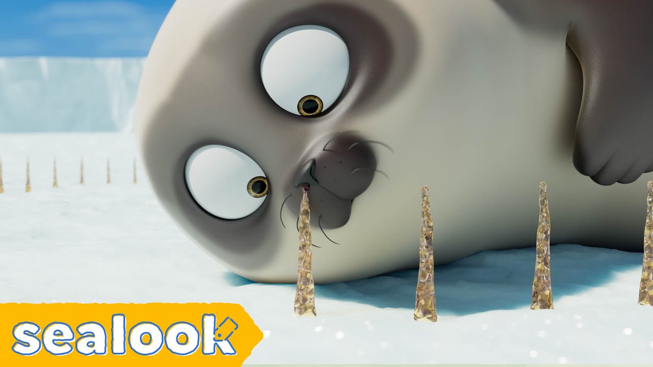 Best Snotcicle EverㅣSEALOOKㅣEP.19