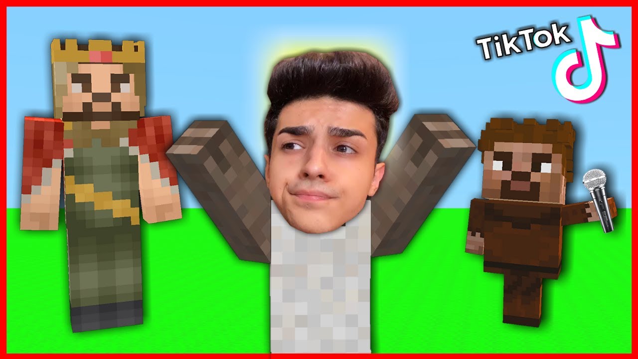 Best TICTOK 24 HOURS Winner #3 😱 - Minecraft