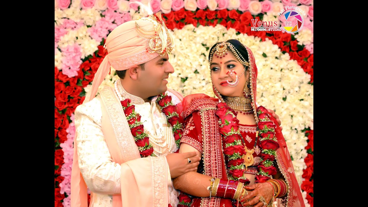 Best Wedding Highlight 2023[ANSHUL & SHIKHA ] New Venus Studio Palu Photo Graphy 9817065961