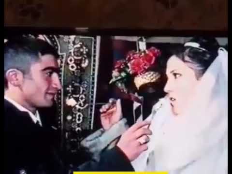Bey gelin tort prikol