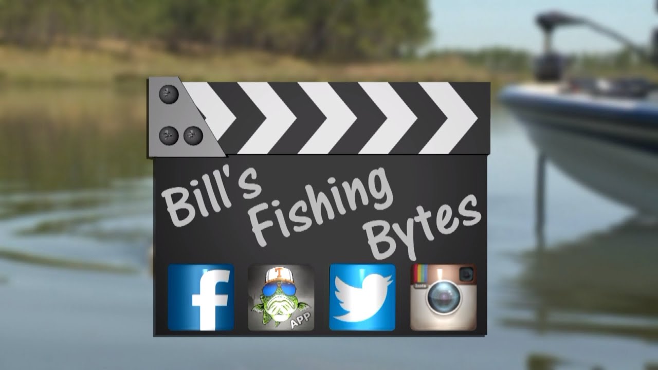 BFB - Aged Fish