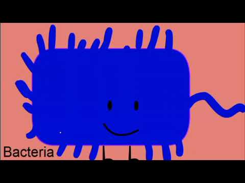 BFDI Auditions but edited by me