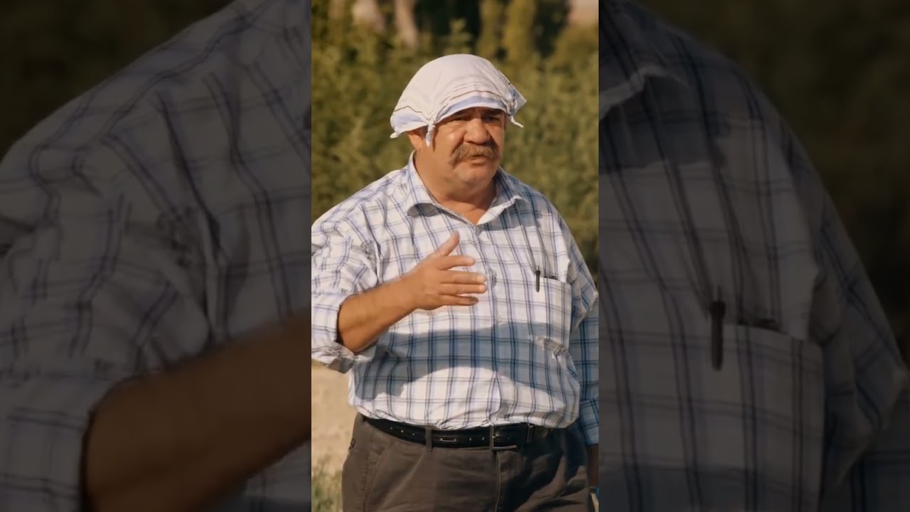 Bi küfür insana bu kadar mı yakışır 🤣😂 #shorts #short #shortsvideo #youtubeshorts