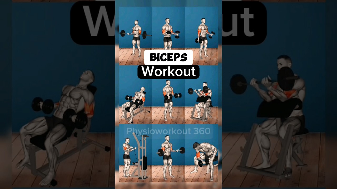 Biceps Workout Exercises #workout #biceps #bicepsworkout #bodybuilding #musclebuilding #gym