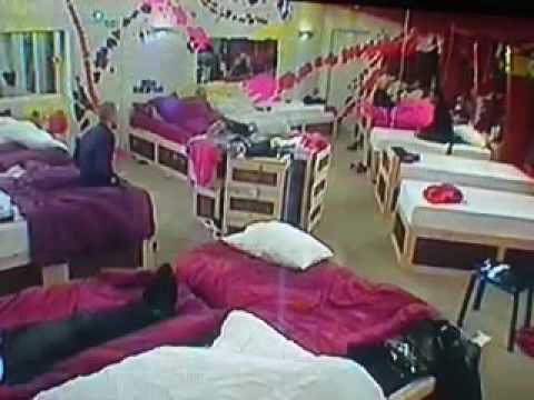 Big Brother Noirin arguing with Siavash and Halfwit