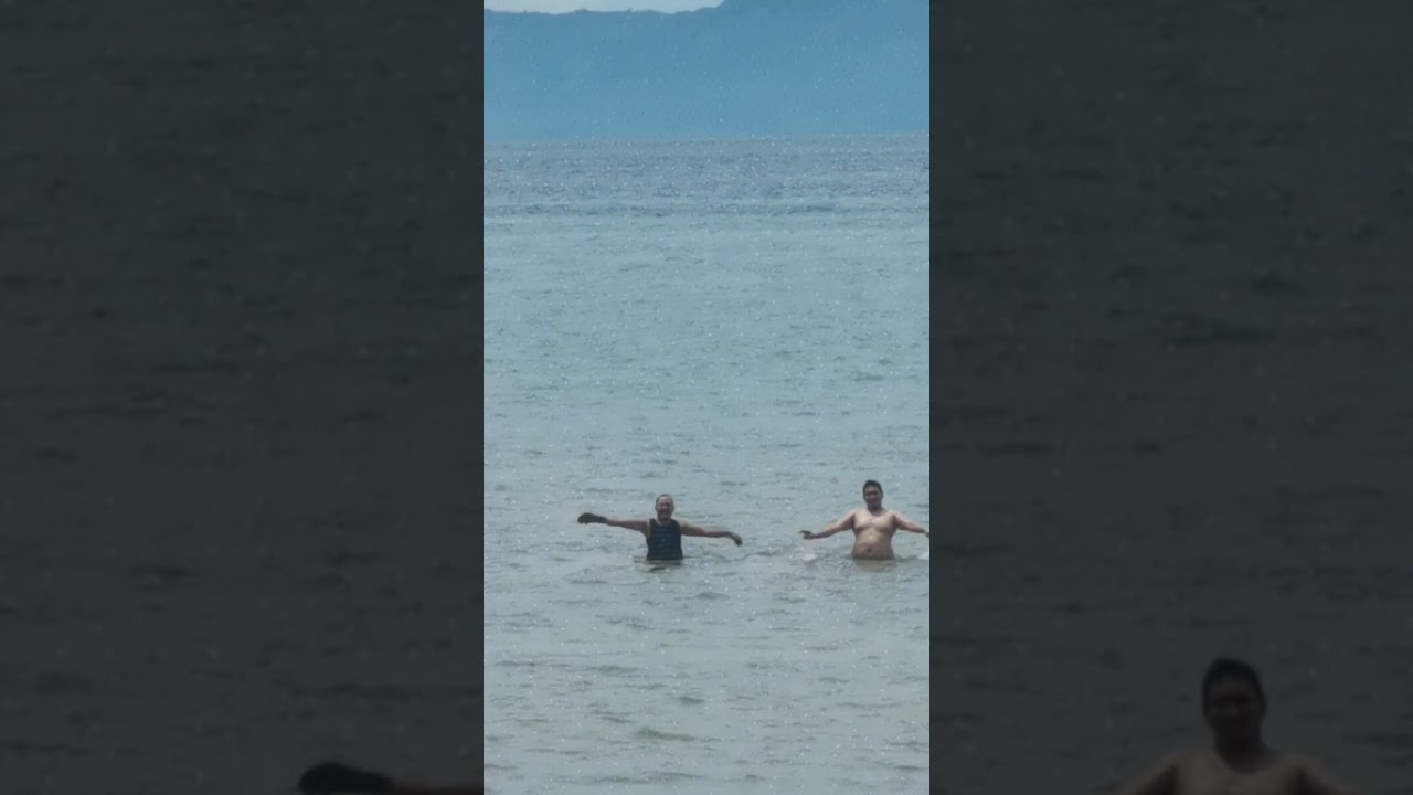Big shark attack #scary #shark #shorts