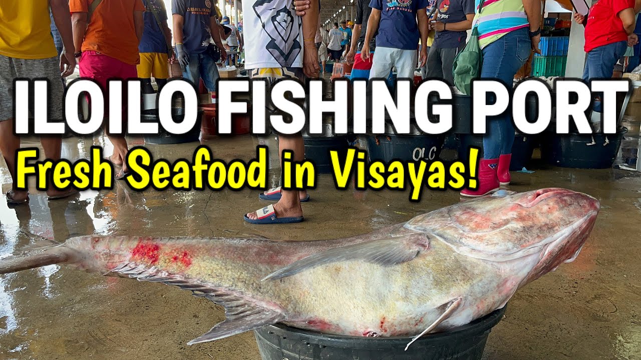 BIGGEST SEAFOOD MARKET in ILOILO - Iloilo Fishing Port Complex | Fresh Fish/Seafood in Visayas