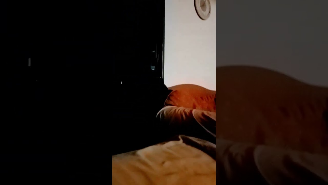 bigo