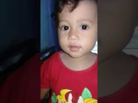 bigo live bareng my baby