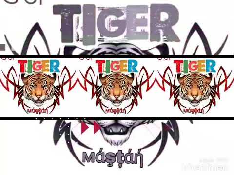 Bigo live Tiger Family /Number 1💋💋💋💋💋💋