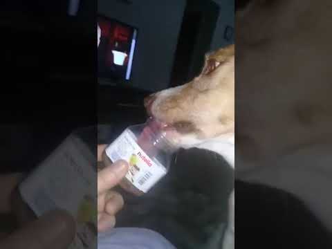 Bigo Nutella.