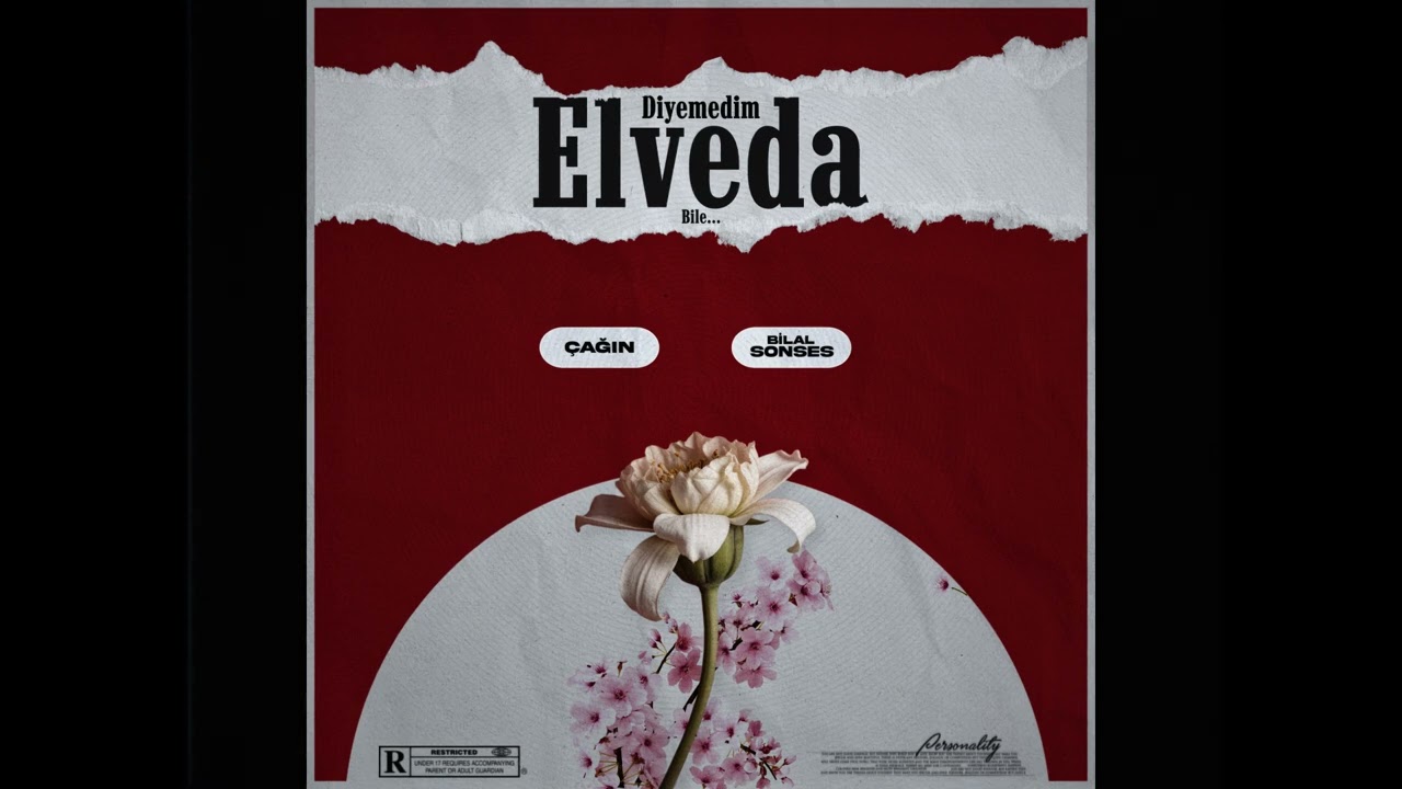Bilal Sonses & Çağın - Diyemedim Elveda