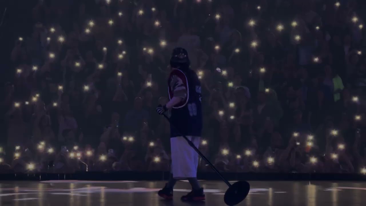 Billie Eilish Live - WILDFLOWER - November 17th, 2024