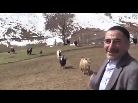 Bingöllü Çoban, 8 Yıl Sonra Yine 