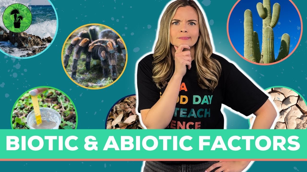 Biotic and Abiotic Factors in an Ecosystem