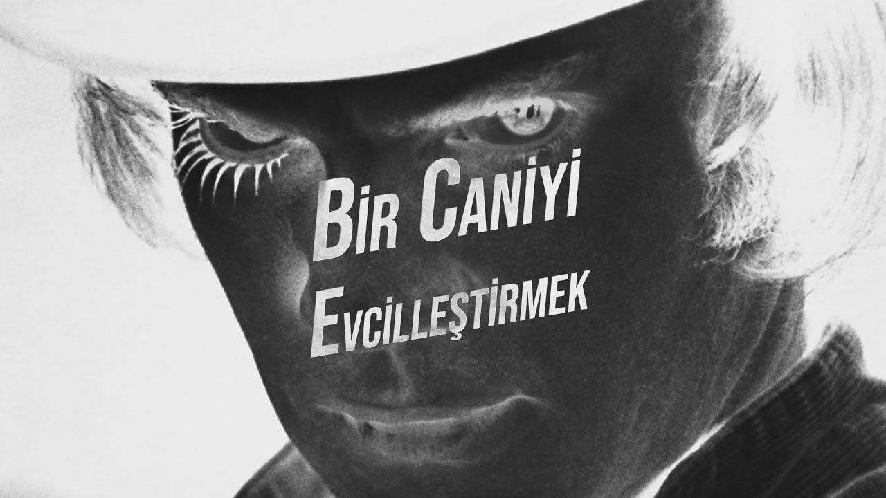 Bir Caniyi Evcilleştirmek | Otomatik Portakal