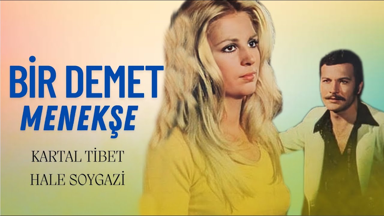 Bir Demet Menekşe Türk Filmi | FULL | Kartal Tibet | Hale Soygazi