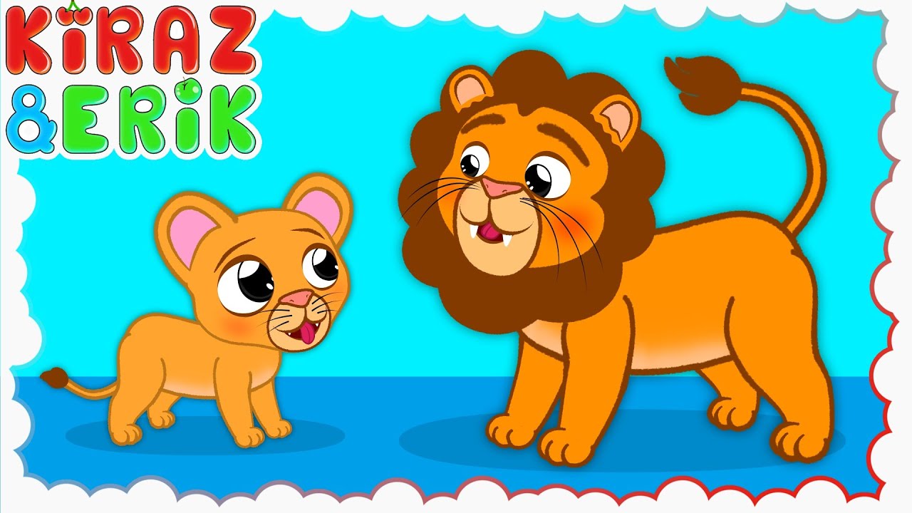 Bir Küçük Aslancık Varmış Şarkısı 🦁 | Eğlenceli Çocuk ve Bebek Şarkıları | Kiraz ve Erik