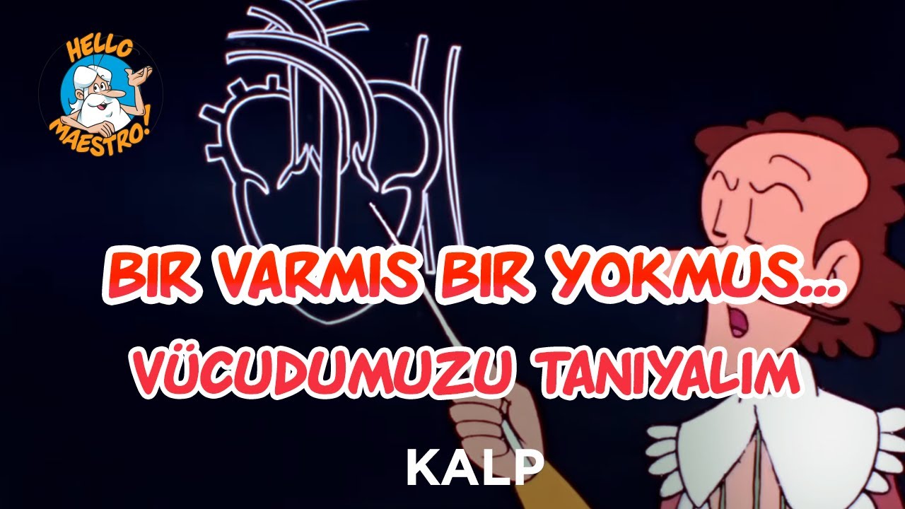 Bir Varmış Bir Yokmuş...Vücudumuzu Tanıyalım Kalp Ep07