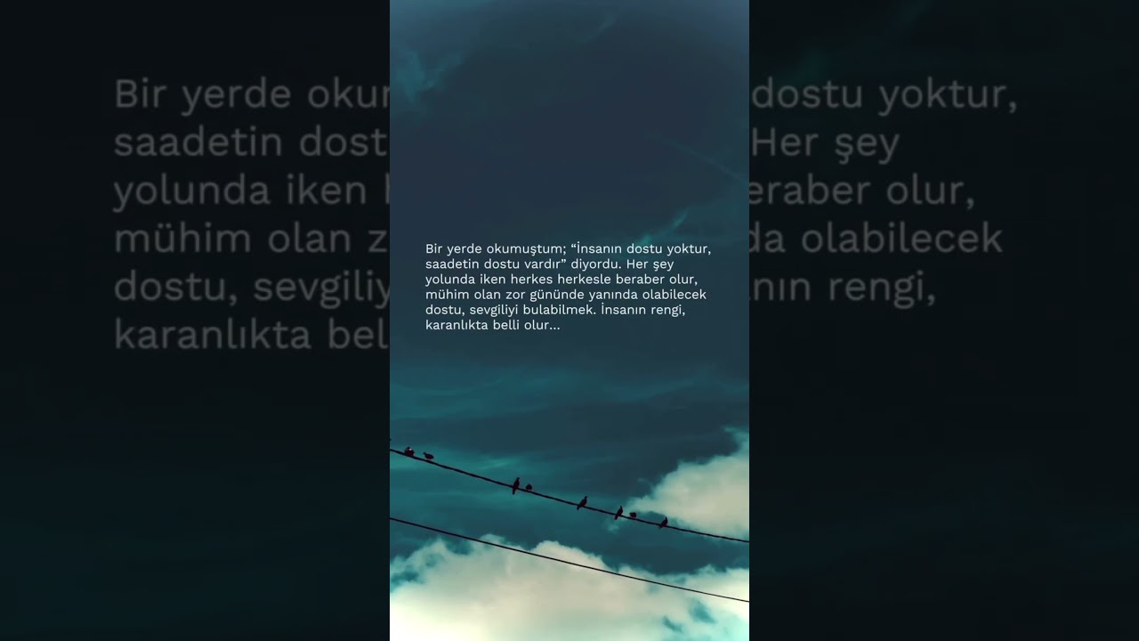 Bir yerde okumuştum; İnsanın dostu yoktur, saadetin dostu vardır diyordu.