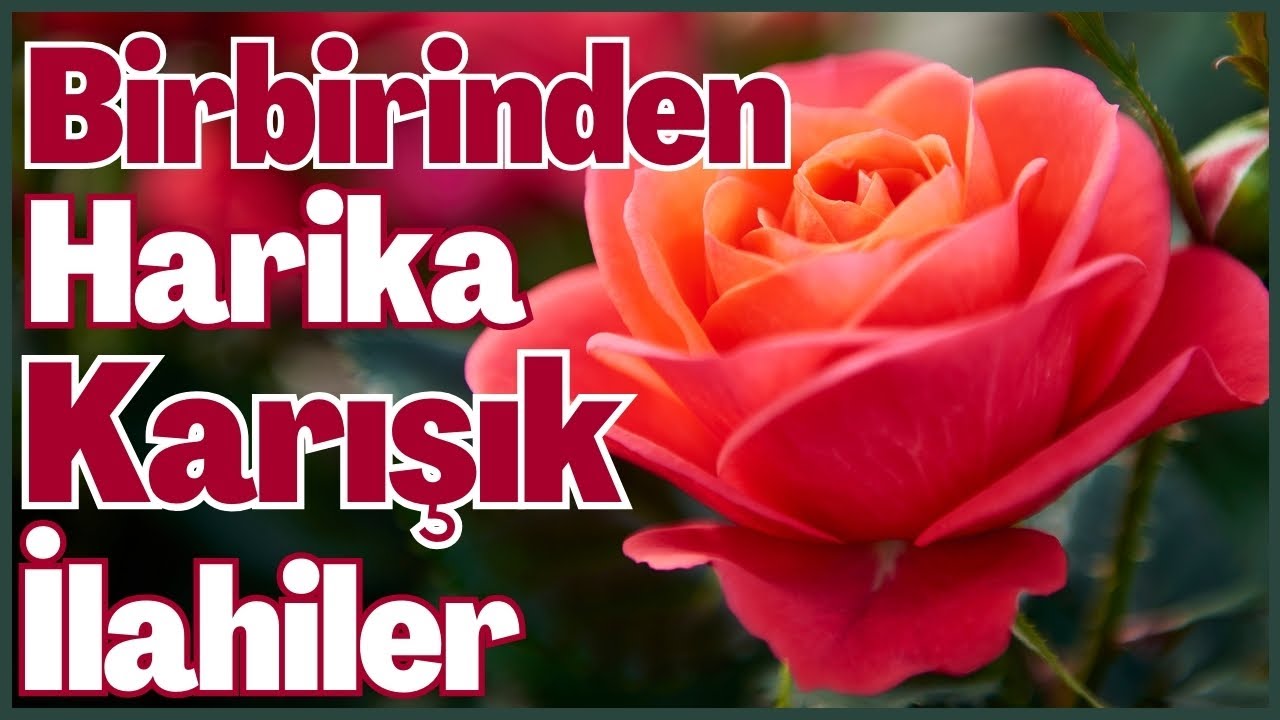 Birbirinden Harika Karışık İlahiler | En Güzel İlahiler