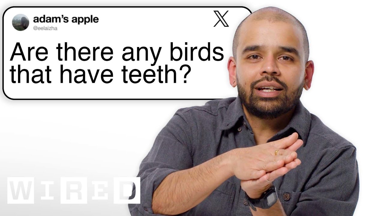 Bird Expert Answers Bird Tweets From Twitter  | Tech Support | WIRED
