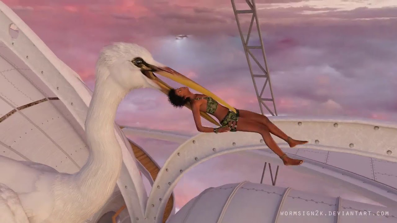 bird vore