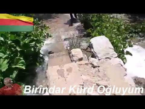 Birîndar Kürd Oğluyum