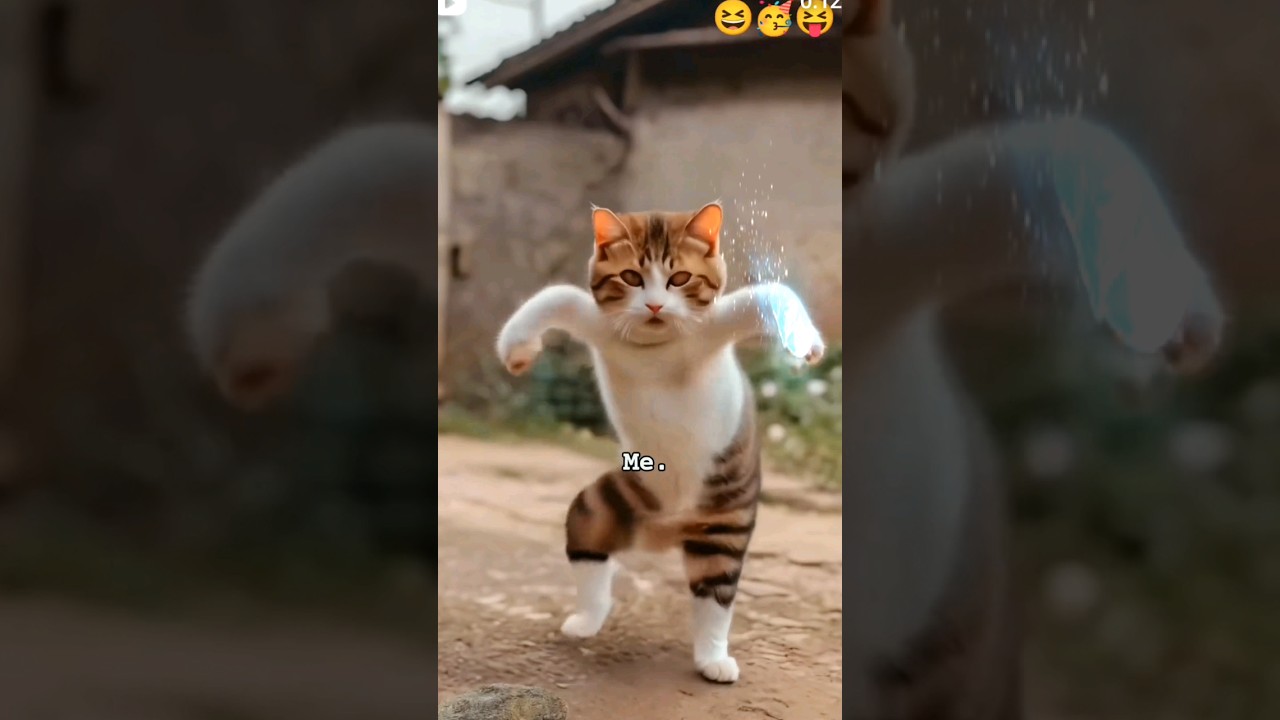 biye korbo biye korbo moner khusi te #trending #comedy #vairal #shorts #viral