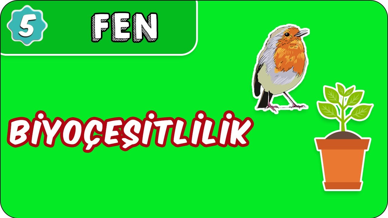 Biyoçeşitlilik  | 5. Sınıf Fen evokul Kampı