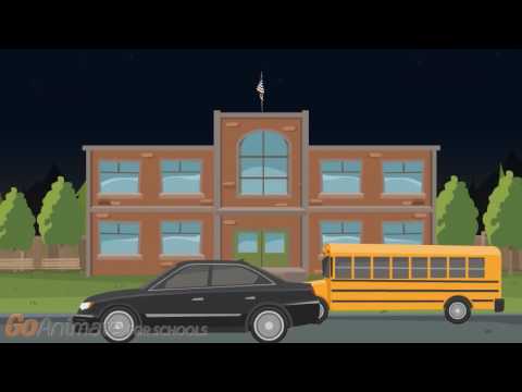 Black Bear Goes To School At Night
