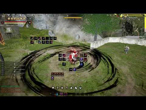 Black Desert Online / Ninja Combo / Ankle Whiff 2.0