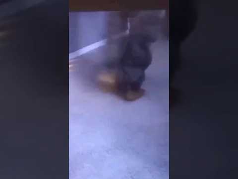 Black Girls feet in green pants animation