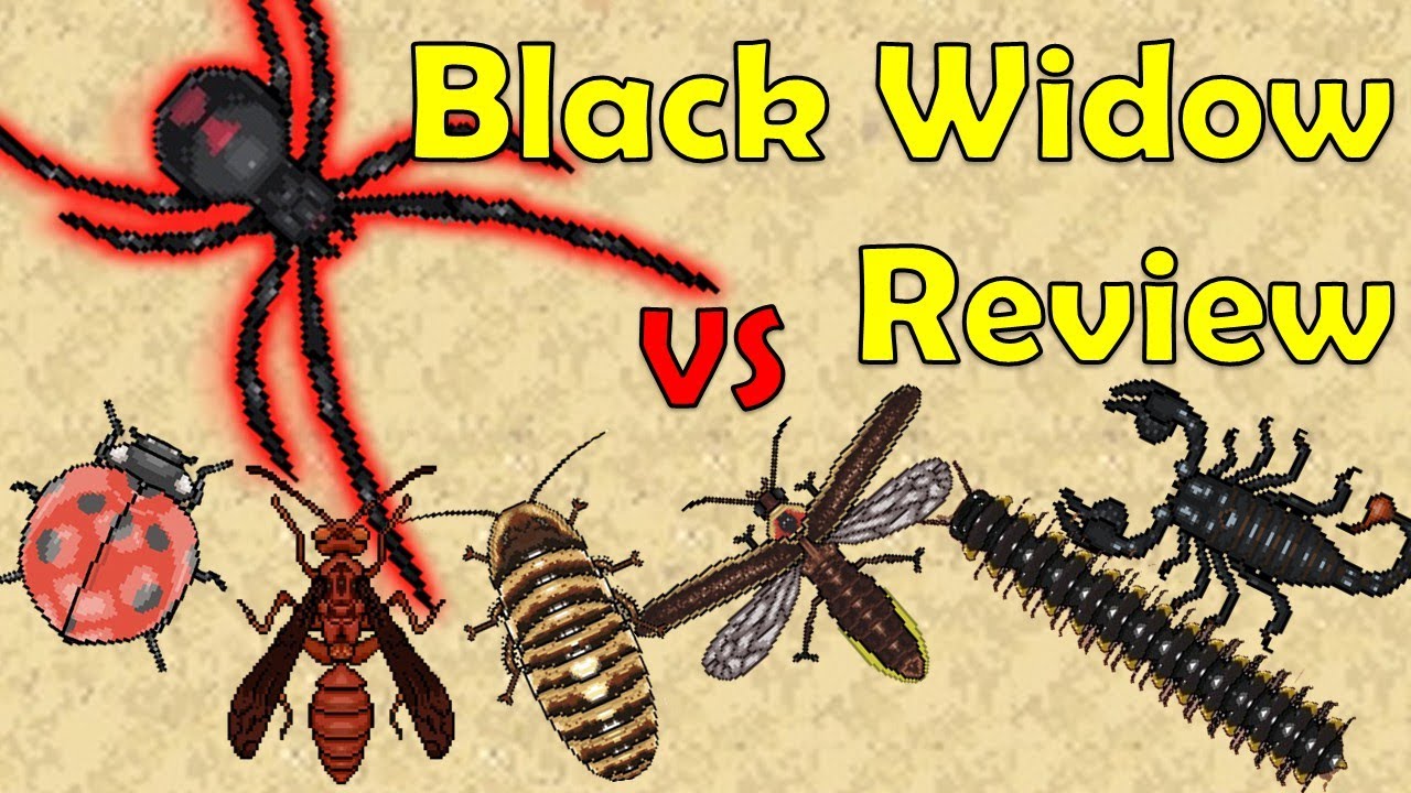 Black Widow Review - Pocket Ants - Smart Daddy