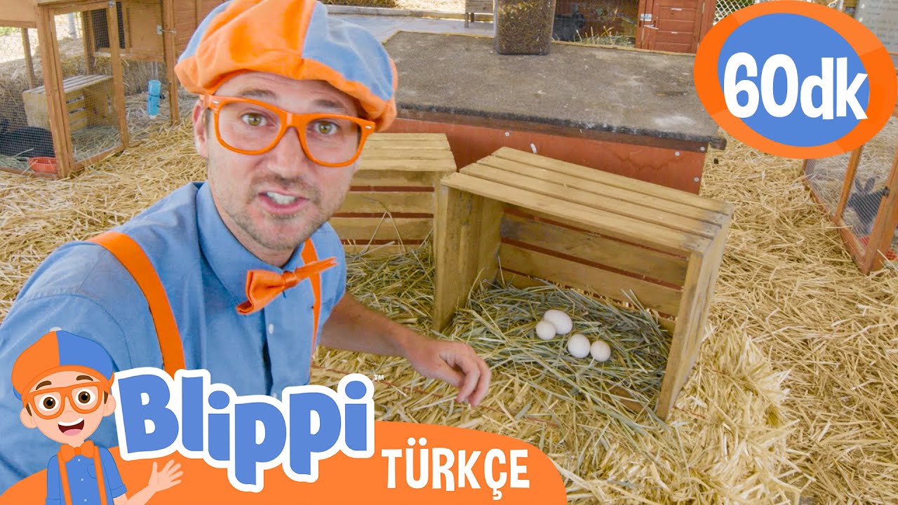 Blippi Bir Çiftliği Ziyaret Ediyor 🐣 | Blippi Türkçe - Çocuklar için Eğitici Videolar
