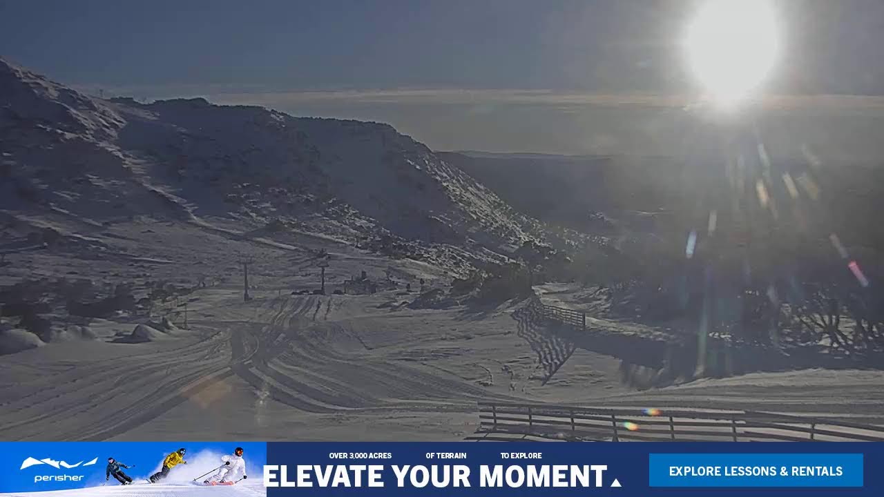 Blue Cow Live Camera