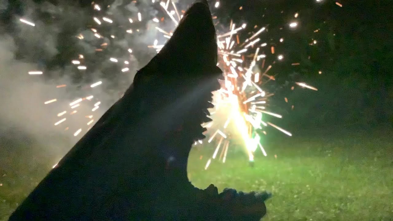 Blue Shark Puppet Happy 4th of July!