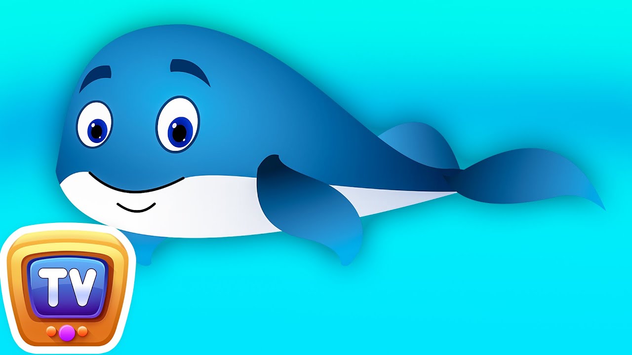 Blue Whale Nursery Rhyme | ChuChu TV Animal Songs & Nursery Rhymes For Children