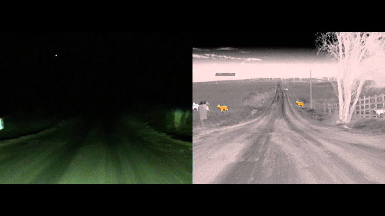 BMW Night Vision with Dynamic Light Spot