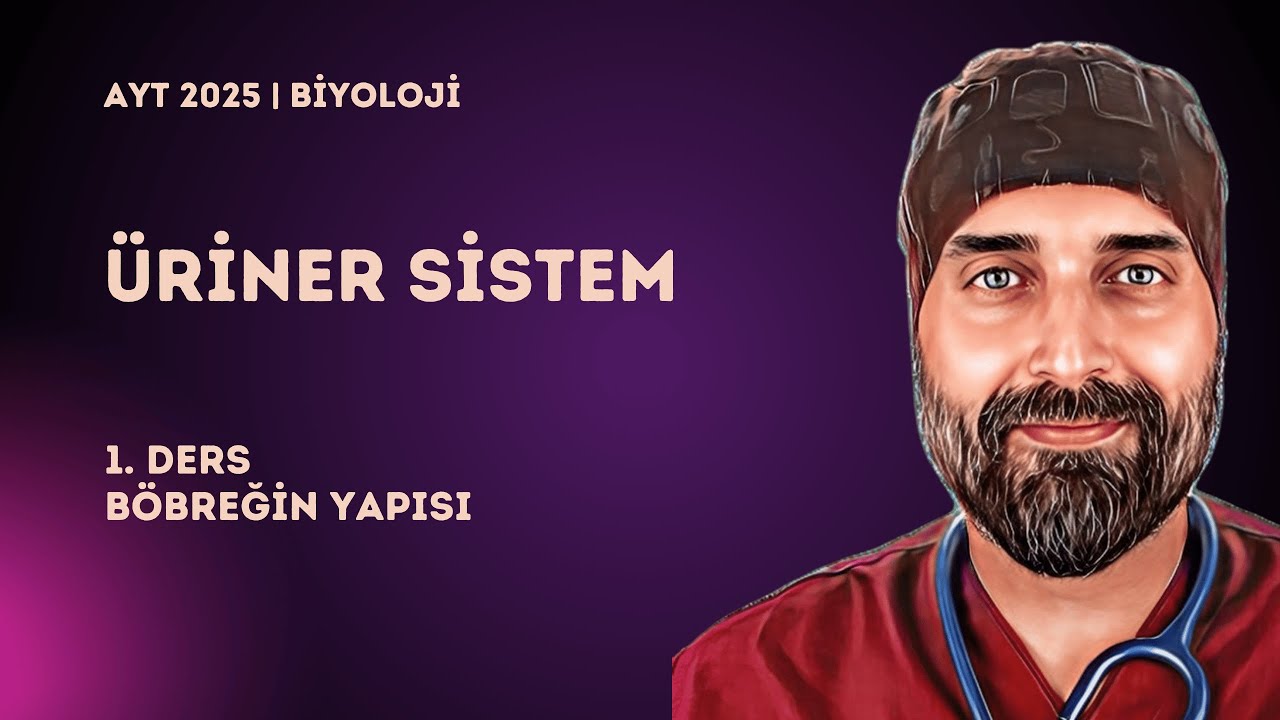 Boşaltım Sistemi | 1. Ders Böbreğin Yapısı | 2025 - YKS