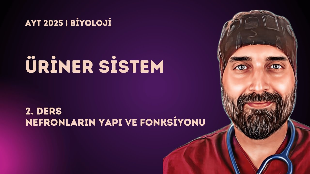 Boşaltım Sistemi | 2. Ders Nefron Yapısı ve Fonksiyonları | 2025 - YKS