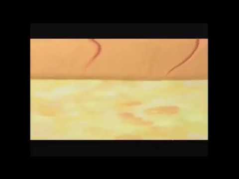 Bob the Builder: Built To Be Wild Trailer