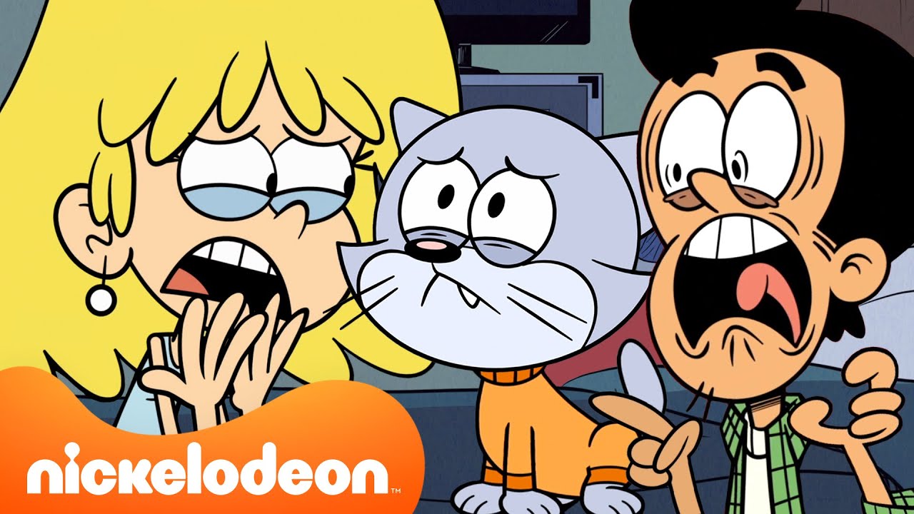 Bobby & Lori Adopt a KITTEN! 🐱 | 