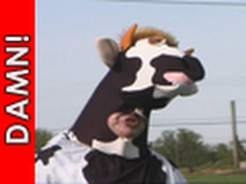 Bobby Possumcods 8 of 11: MAD COW
