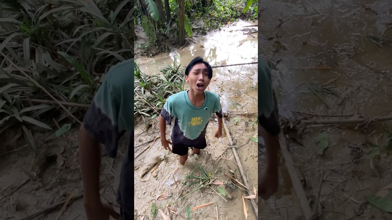 BOBY KEJEBAK LUMPUR HISAP