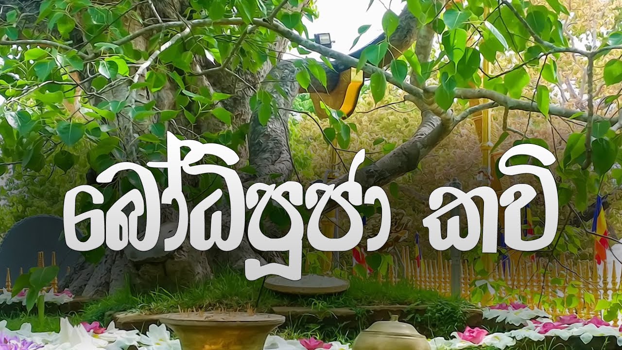 Bodhi Pooja Kavi - බෝධි පූජා කවි | Buddhist Puja Chantings | Bodhi Pooja Gatha | Dahami Desawana