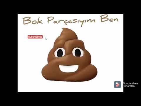 BOK KAKA-HEPSİ BİR ARARDA