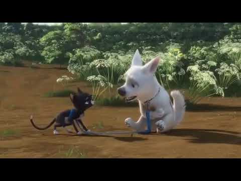 Bolt Stomach Growling And 101 Dalmatians Series Cadpig Poop Pants